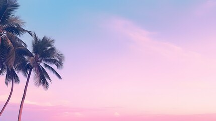 Fototapeta na wymiar Green coconut palm trees on summer colorful pink sky with copy space. Beautiful tropical seascape background minimal style.