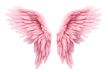 Cut out pink wings on transparent