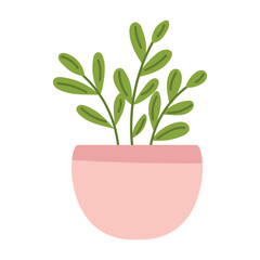 Vector potted foliage plant illustration