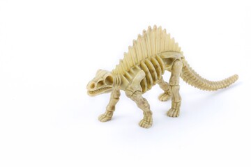 Skeleton of dinosaur on a white background © Janusz
