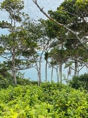Panoramic view of the ocean from trilha da Sepultura, Bombinhas, Brazil