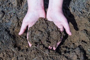 Two human hands hold the ground in close-up against the background of the field and the space for copying. Concept - agriculture and farming