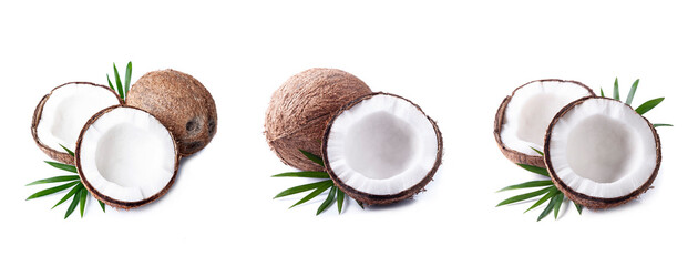 Collage of coconut on white backgrounds