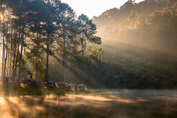 landscape with fog in the morning,View of foggy on the lagoon in front of sunset,morning fog in the...