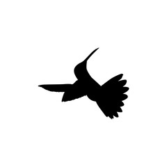 Naklejka premium Flying Hummingbird Silhouette, can use Art Illustration, Website, Logo Gram, Pictogram or Graphic Design Element. Vector Illustration