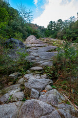 Shiratani Unsuikyo Ravine Trail, Yakushima, Japan
