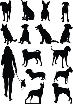 Set of dogs silhouette. Vector illustration