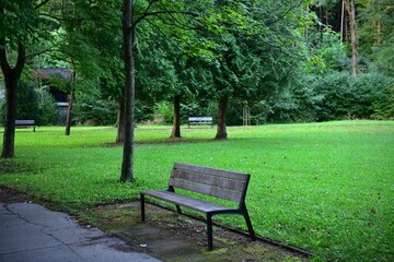 Detail of the rest benches in the spa forest park for visitors