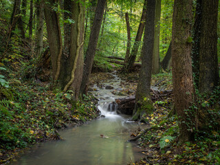 The waterfall in green forest