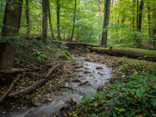 The waterfall in green forest