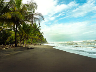 Paradise tropical beach with palm trees in Costa Rica