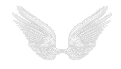 white wing of bird on on transparent png