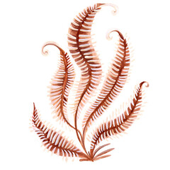 Stylized fern in golden tones on a white background. Isolate. Flat illustration Drawing for the design of souvenirs, cards, posters and invitations.