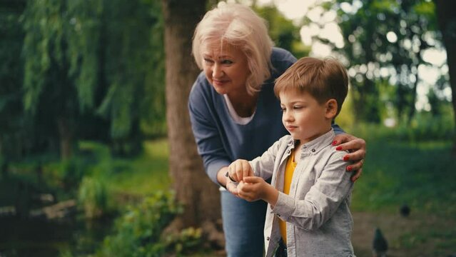 Happy senior woman helping little grandson to feed birds in park, family rest