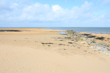Fototapeta na wymiar Idyllic sand beach in Ile de Ré, Charente-Maritime, Nouvelle Aquitaine, France