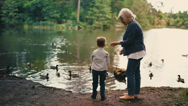 Mother and son feeding birds on lake, having fun together in park, family time