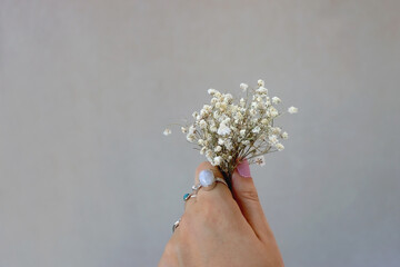 Hand with silver rings and pastel pink nail polish, holding gypsophila flowers. Minimal gray...