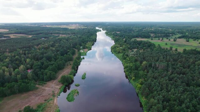 Aerial view of the river in the forest. Mist over the river and beautiful reflection of trees in water. Narew river, Poland. 4K