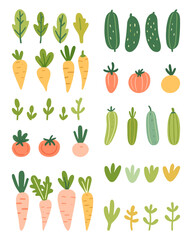 Colorful vector illustration of vegetables including carrots, tomatoes, cucumbers and various leaves on a white background.