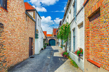 Empty narrow cobblestone dead end quiet street, buildings with flowers on brick walls in summer...