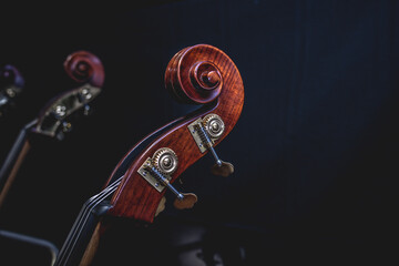 Vintage brown double bass neck, double bass scroll and tuning pegs. Shallow depth of field