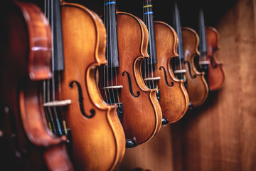 Row of multiple violins hanging on the wall, musician workshop