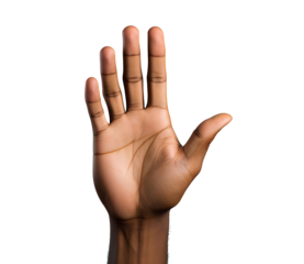 hand showing stop sign png. hand sign png. hand png. man raising hand png