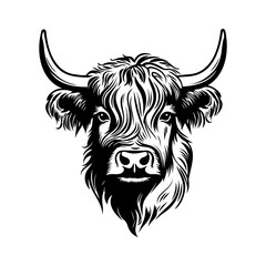 Highland cow head. Farm Animal. Vector illustration.