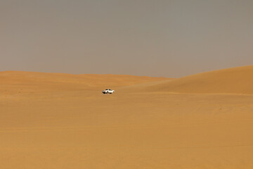 The colourful, shifting sand dunes of the Namib desert.
