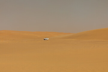 Fototapeta na wymiar The colourful, shifting sand dunes of the Namib desert.