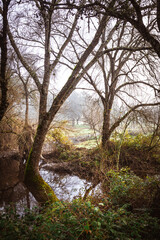 A Romantic Journey on the Lonely Road. A Misty Morning on the Spanish Countryside Road