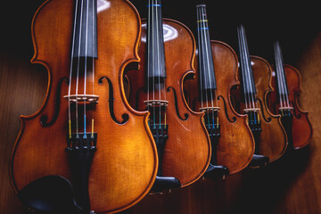 Fototapeta na wymiar Row of multiple violins hanging on the wall, musician workshop