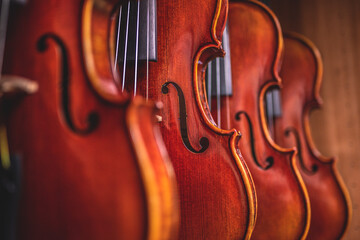Row of multiple violins hanging on the wall, musician workshop