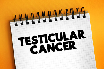 Testicular Cancer is 1 of the less common cancers and mostly affect men between 15 and 49 years of age, text concept for presentations and reports
