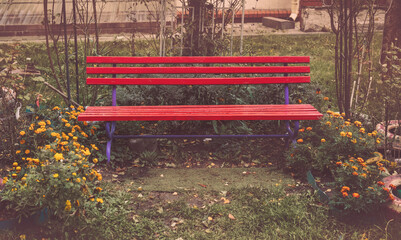 Empty aged red colored wooden bench located in town backyard or garden with grass and flowers