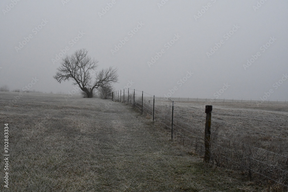 Canvas Prints frosty fence row