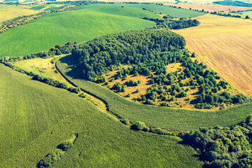 Obraz premium View from above of countryside. View of agriculture fields with groves in summer