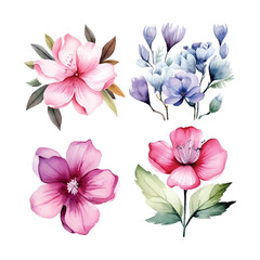 Watercolor set flowers Women's Day Mother's day vector