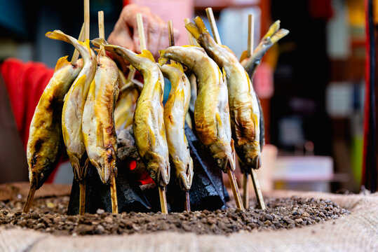 Ayu fish being grilled with salt, Japanese ayu sweetfish cooking around hot charcoals.