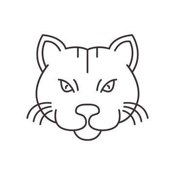 fat cat head line logo design vector image