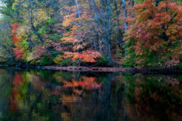 Fall reflections in the water