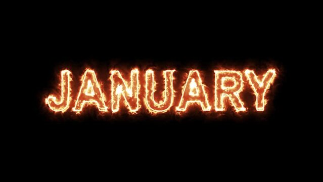 January, February, March Month. Electric Fire lighting text animation on black background. 3D Render