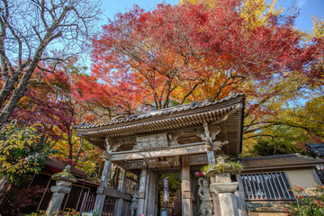 Fototapeta premium Japan snapshot