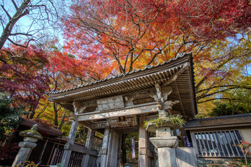 Fototapeta premium Japan snapshot