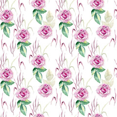 Watercolor seamless pattern on the white background. Png.