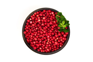 Wild cowberry, foxberry, lingonberry with leaves, isolated on white background. High resolution image.