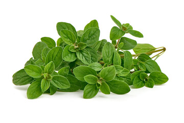 Sweet marjoram herb, fresh condiments, isolated on white background.