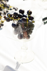 I love the look of these concord grapes all around and some sitting in the wine glass. The deep...