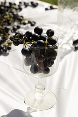 I love the look of these concord grapes all around and some sitting in the wine glass. The deep...