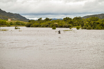 Lake in the village of Lapinha da Serra in the state of Minas Gerais in Brazil.
This lake was formed by an electric power company to generate energy for the region. But its scenic beauty attracts tour